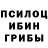 Псилоцибиновые грибы Psilocybe Elmira Sagimbayeva