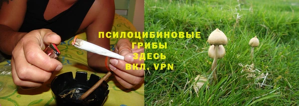 mdpv Снежинск